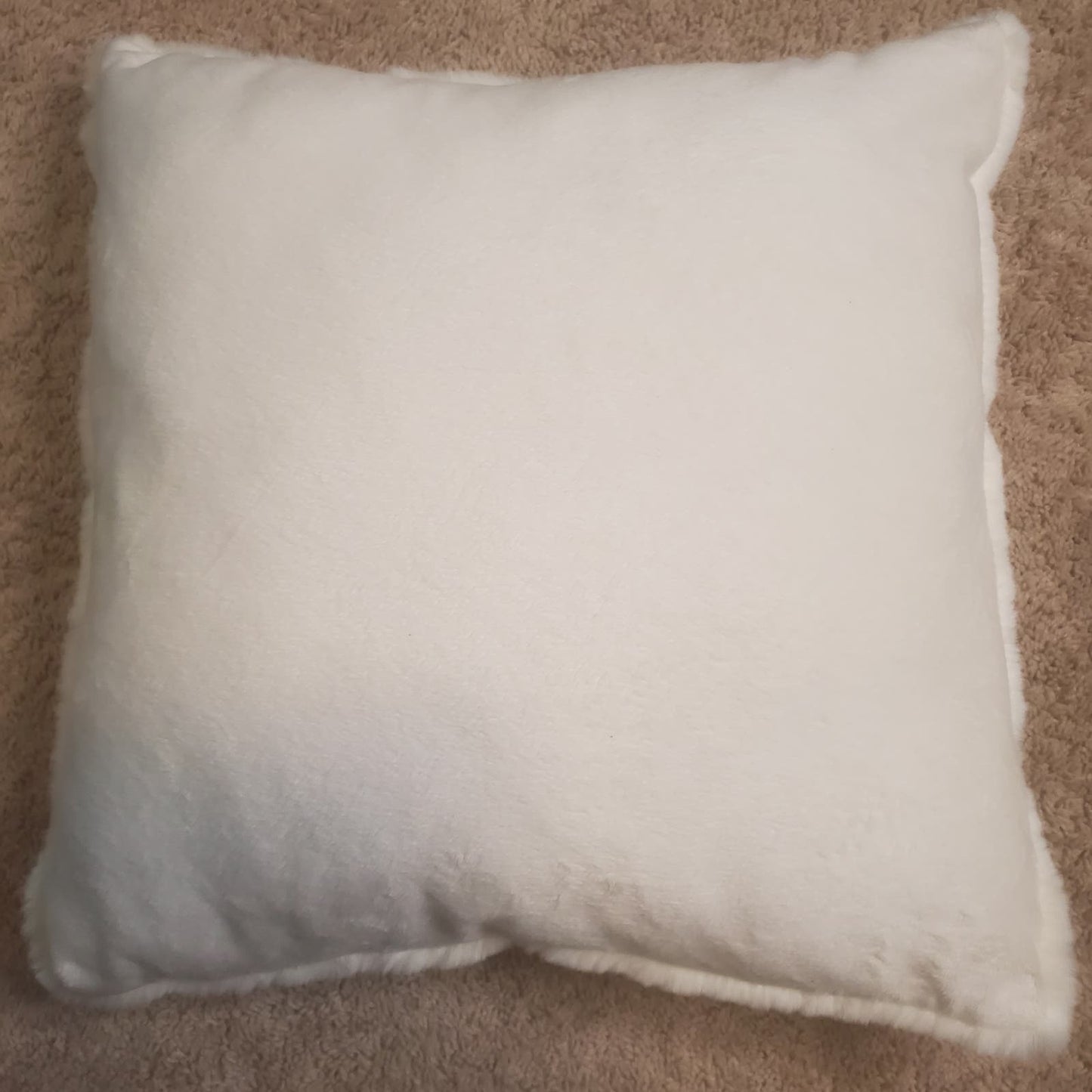 Nordstrom Rack Snuggle Faux Fur Pillow Ivory